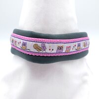 Hundehalsband kleine Hunde, Zugstopp Neopren 42 cm