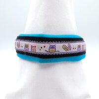 Hundehalsband kleine Hunde, Zugstopp Neopren 35 cm