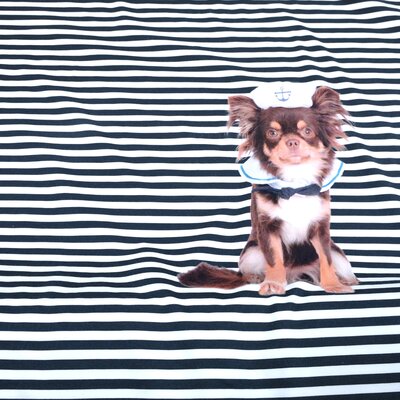Stoff Panel Jersey Stenzo Hund Chihuahua maritim