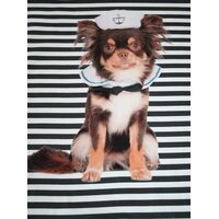 Stoff Panel Jersey Stenzo Hund Chihuahua maritim